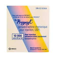 PREGNYL 10000 UNIT POWDER FOR SOLUTION ; KIT - DIN 02182904