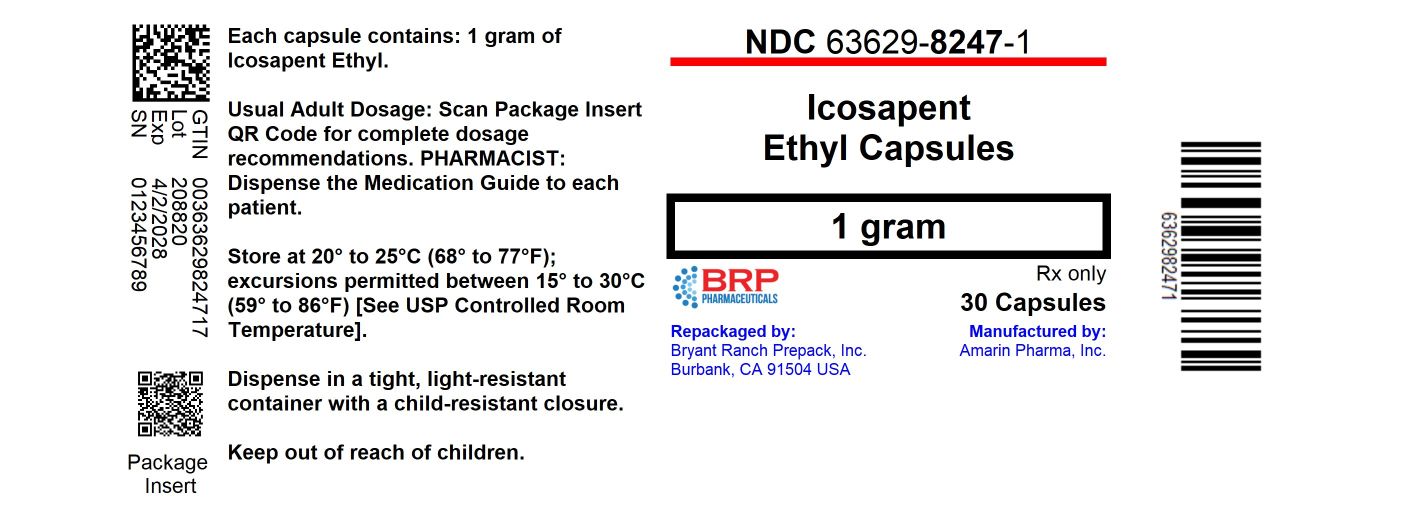 VASCEPA 1 G CAPSULE - DIN 02495244