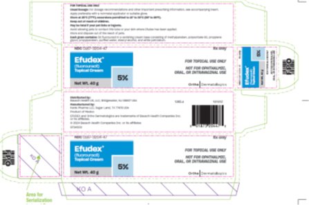 EFUDEX 5 % CREAM - DIN 00330582